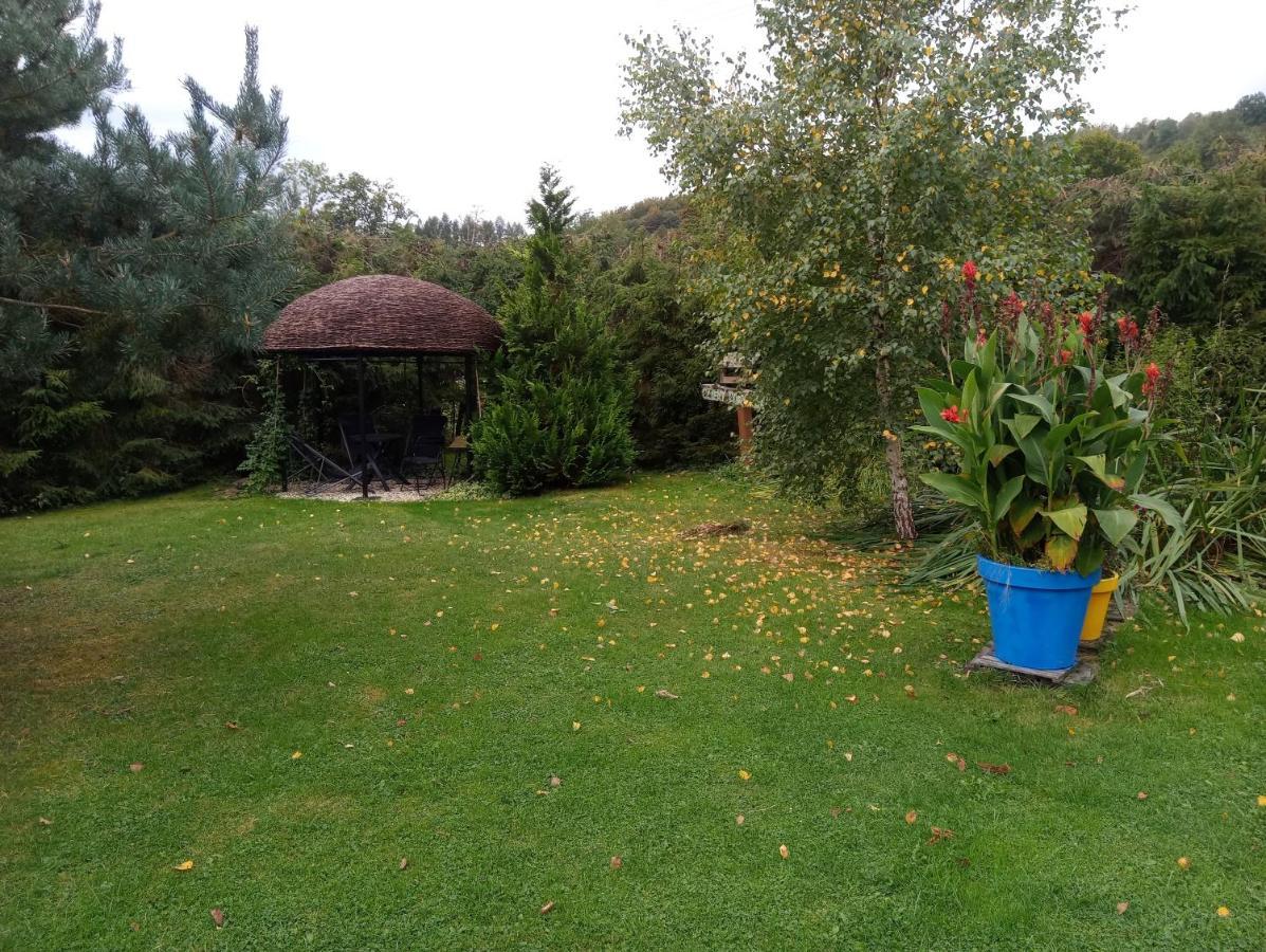 Villa Cztery Pory Roku - Dom Lutowiska Exterior foto
