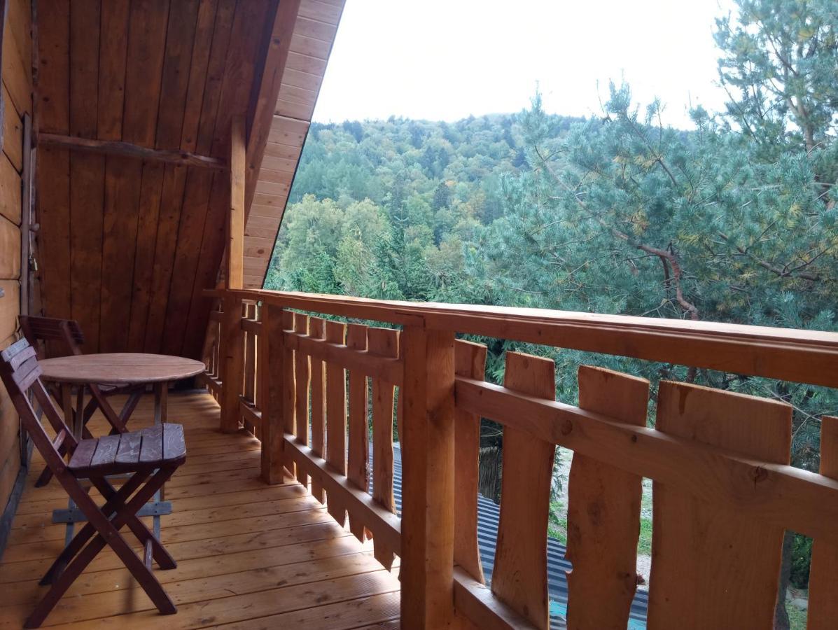Villa Cztery Pory Roku - Dom Lutowiska Exterior foto