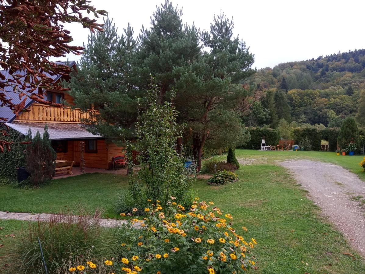 Villa Cztery Pory Roku - Dom Lutowiska Exterior foto